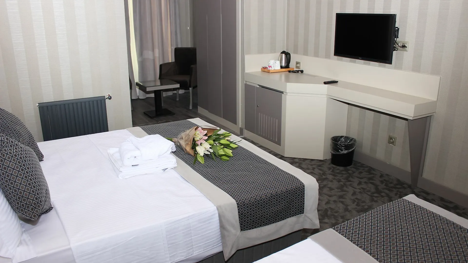 Anka Premium Hotel Adalar Turquía