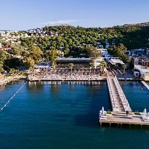 Voyage 5* Golturkbuku